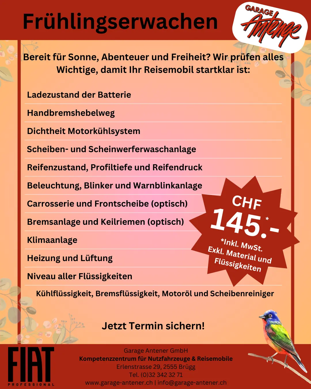 Frühlingscheck 2026 der Garage Antener