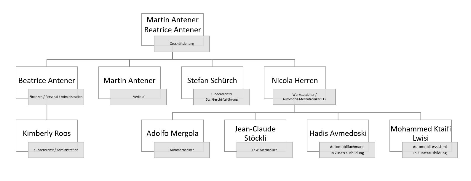 Organigramm 10.12.2024